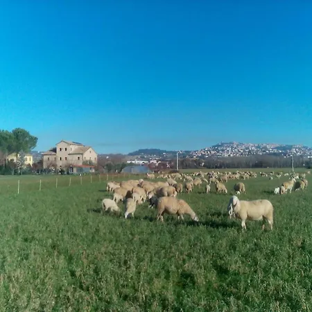 Bigattiera Bed & Breakfast 3*