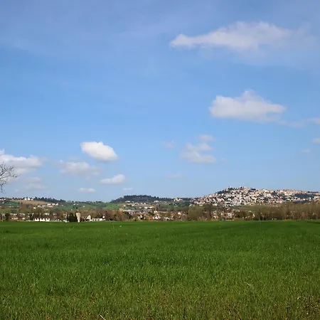 Bigattiera 3* Osimo